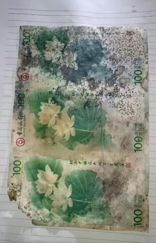 当导致霉变收藏者需重视保管方法麻将胡了电子游戏纪念钞保存不